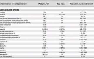 У ребёнка повышены моноциты и эритроциты в ОАК