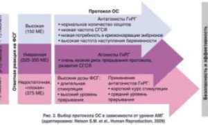 Стимуляция овуляции при низком амг