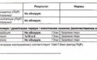 Повторный анализ ПЦР на хламидии