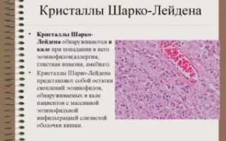 Кристалические образования Шарко-Лейдена