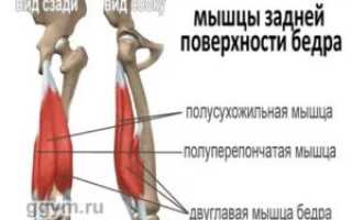 Отрыв сухожилия длинной головки двуглавой мышцы бедра от седалищного бугра