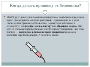 Укусила собака, уколы от бешенства