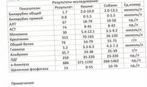 Повышены Аст и понижен билирубин