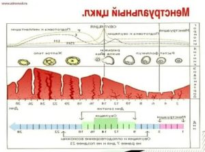 Сбился менструальный цикл. Планирование беременности