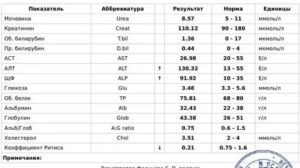 Повышены Аст и понижен билирубин