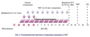 Стимуляция овуляции при низком амг
