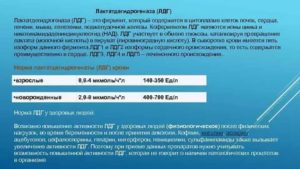 Повышен ЛДГ