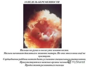Беременность от пальцев