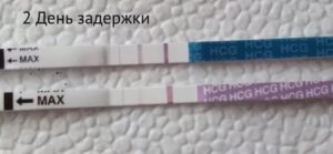 Тест на беременность, задержка 2 дня