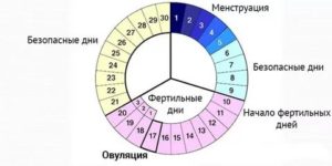Секс за день до месячных