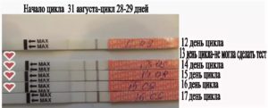 С 16 цикла начинает болеть живот неделю, и так до 22 цикла