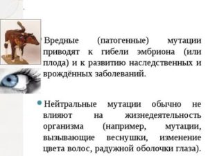 Патогенная мутация