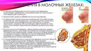 Сильно болит грудь при месячных