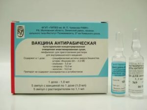 Антирабическая вакцина и алкоголь