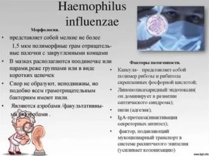 Гемофильная палочка в носу и в зеве