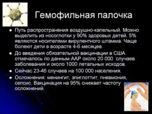 Гемофильная палочка в носу и в зеве
